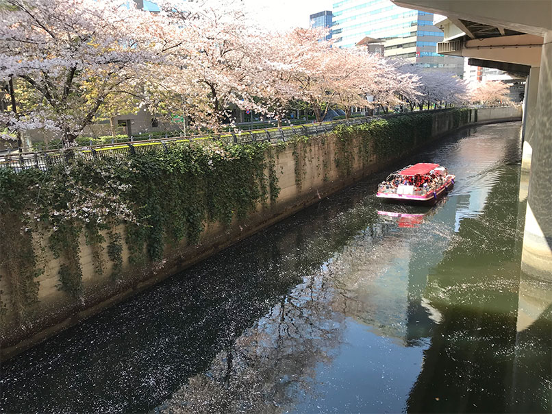 千代田のさくらまつり